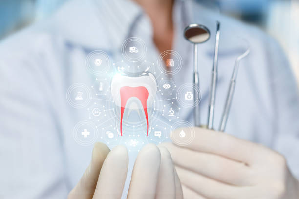 Professional  Holistic Dental Services in Wabasso Beach, FL